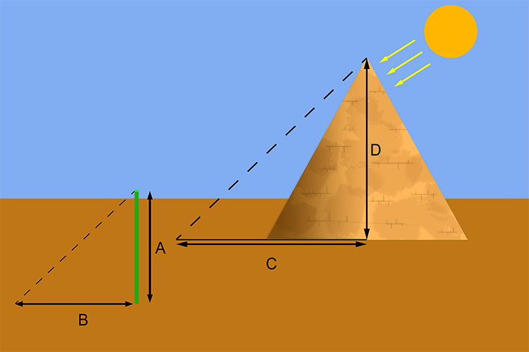 Thales found it could work at any time of day so he started to use poles he would measure the height and shadow of the pole also measuring the length of the shadow of the pyramid realising the intercept ratio